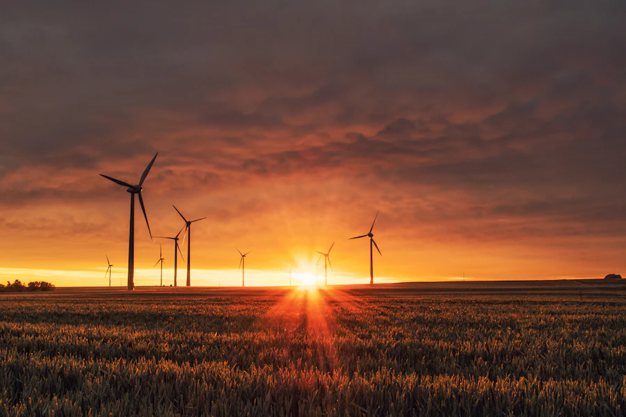 نمای مزرعه خورشیدی